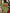 037b4820-107a-4aaf-8e54-f5b24674fd77-Max-Origin