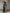 095d1dcd-7c97-4fce-91bd-9fde78aaf124-Max-Origin