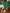0b864714-5e3b-4739-b349-3a8f737fd300-Max-Origin