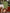 34df3ce9-e1e5-4f8e-9dfa-b83143117292-Max-Origin