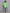 3a61d5705b204b5180f9c14cf82f62e2-Max
