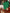 737a3638-da28-47f9-8d0b-ca4d7b1bb806-Max-Origin