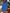 87ef718c-12fd-4c38-98bf-f4319c41a1e1-Max-Origin