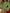 9af7d43e-b243-45ee-8daa-2430c9073d46-Max-Origin
