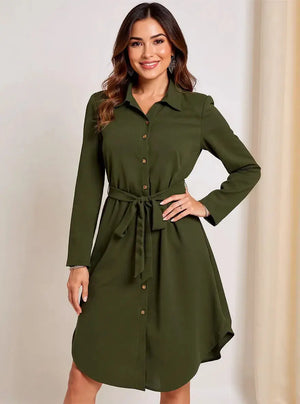 Belted Button-Down Shirt Dress