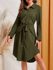 Belted Button-Down Shirt Dress