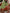 b8c00afa-723c-4d17-8537-569247a9941f-Max-Origin