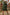 b9d92b298b0c40779d39a675e0d4a983-Max
