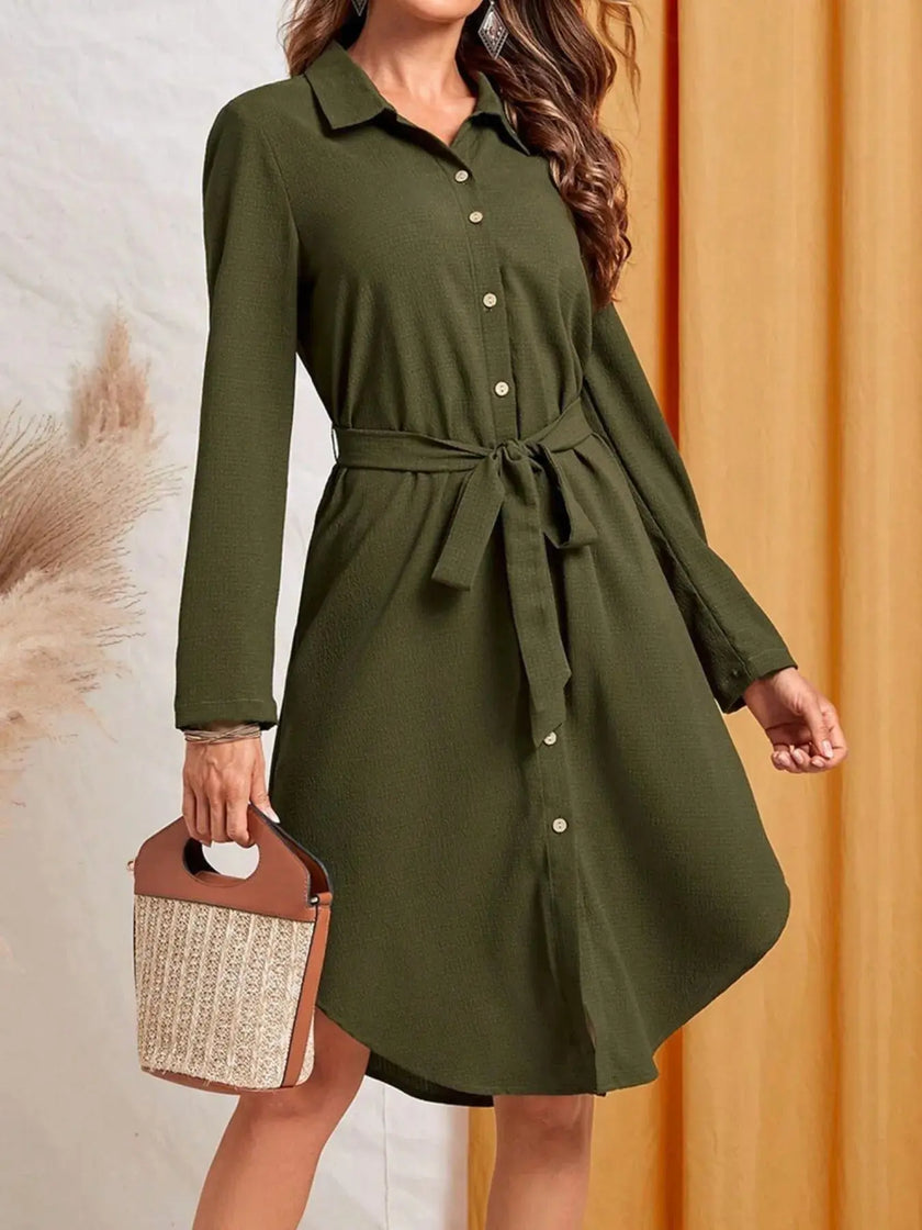 Belted Button-Down Shirt Dress