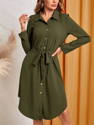 Belted Button-Down Shirt Dress
