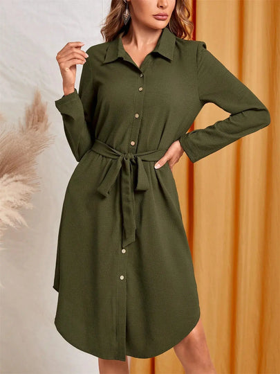 Belted Button-Down Shirt Dress