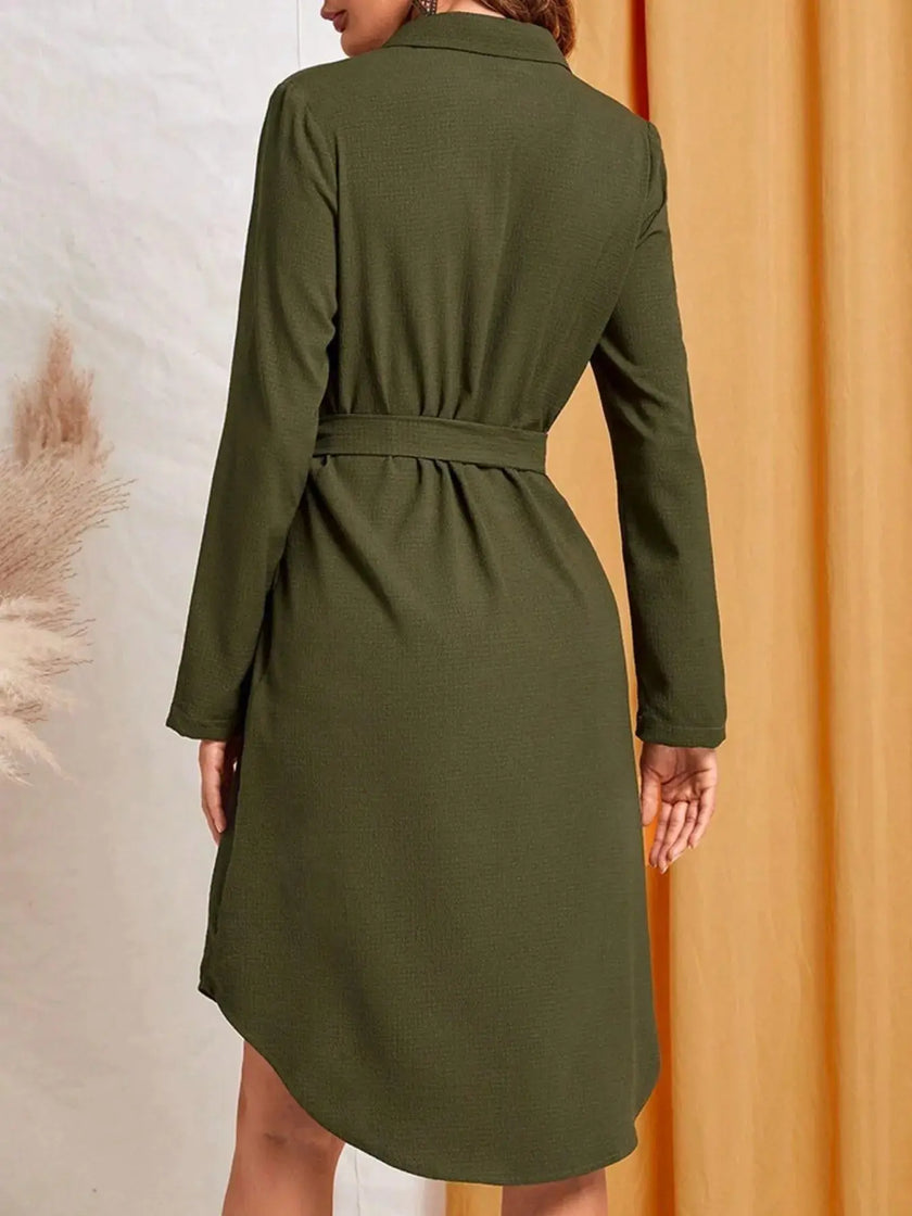 Belted Button-Down Shirt Dress