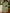 efc3cc22-56e5-4e6b-86da-71c57484f962-Max-Origin
