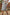 f20acc3756ef4677ac760632be19e6e2-Max